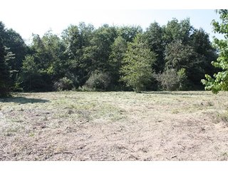 Property photo 51 - 419 +/- Acres offered in 6 Tracts, Land Auction